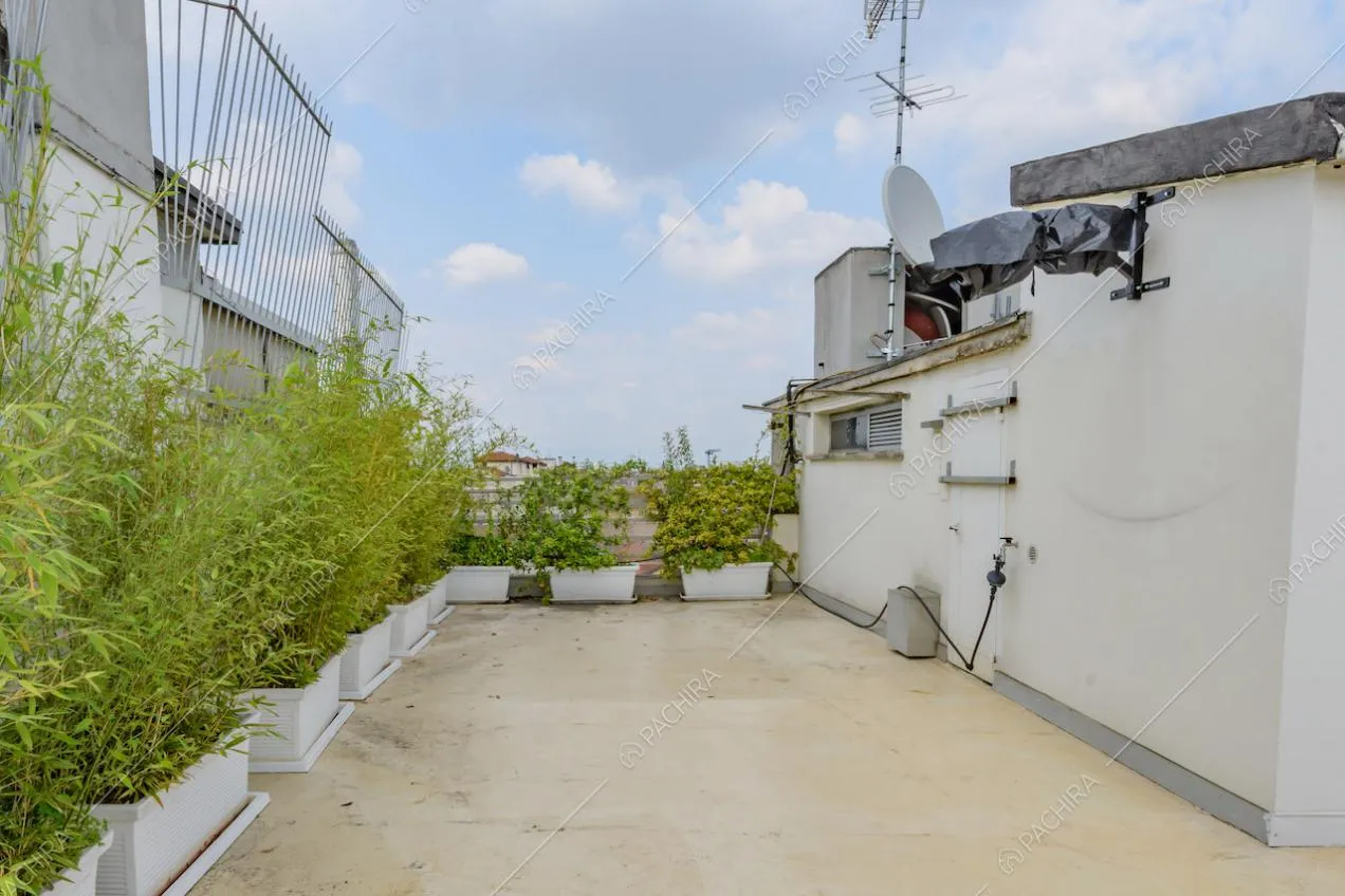 Pavimentazione bianca della grande terrazza con piante