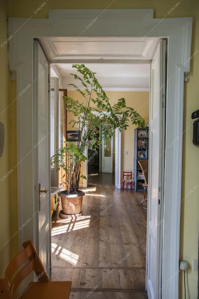 Location Ciclamino villa Milano 22