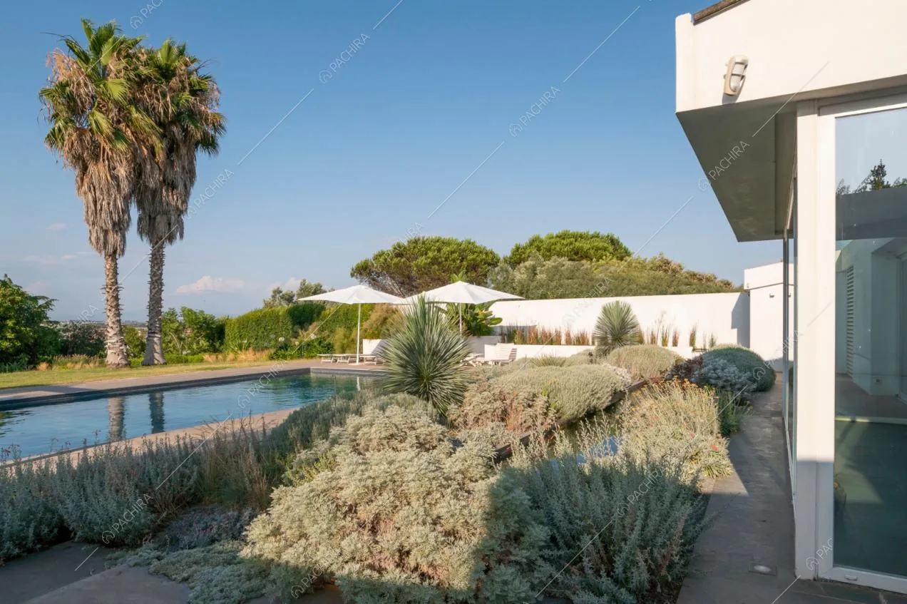 Giardino con palme, piscina e ombrelloni bianchi