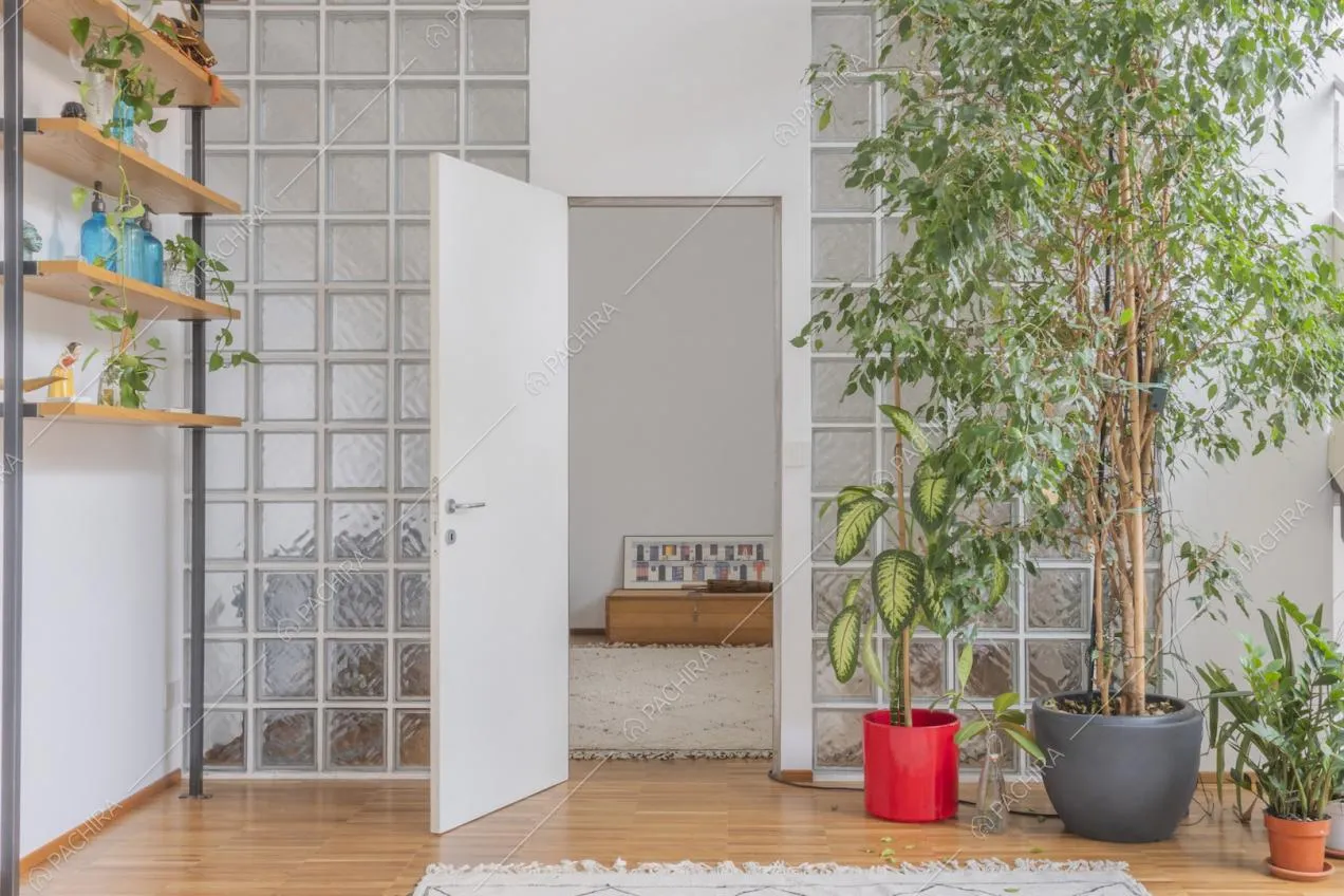 Piante da interni in vaso, parquet e mensole in legno