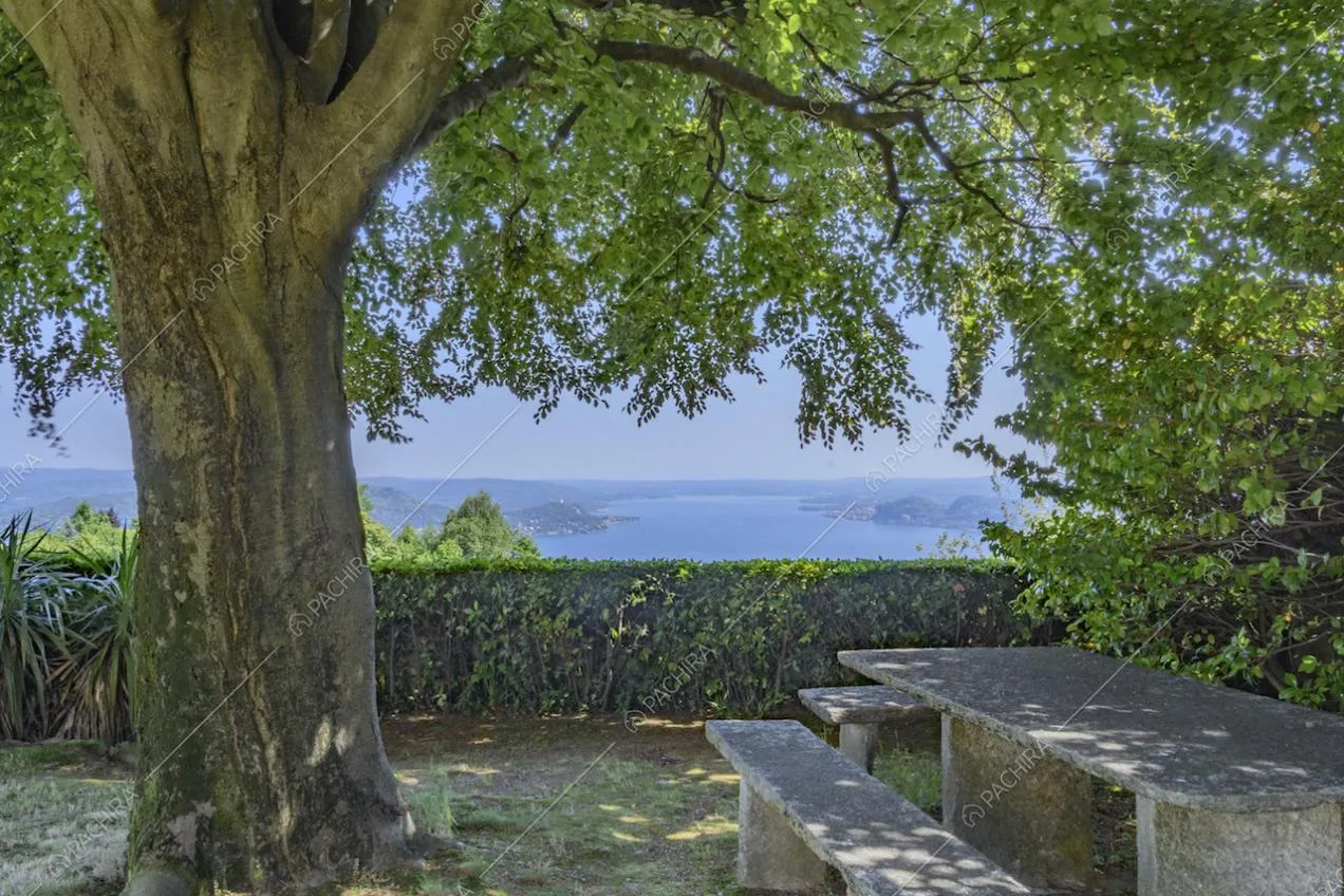 Tavolo e panche in pietra all'ombra di un grande albero