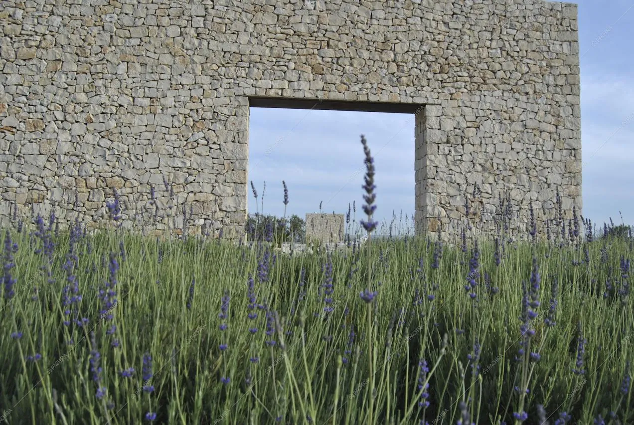 Location Edamame villa provincia di Siracusa 7