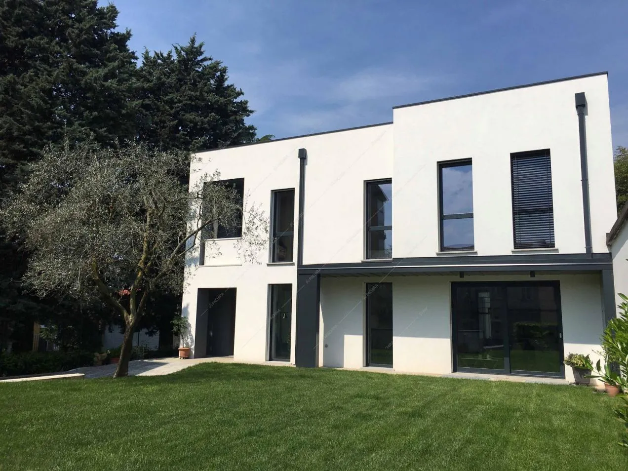 Esterni bianchi e neri e giardino curatissimo con ulivo della location