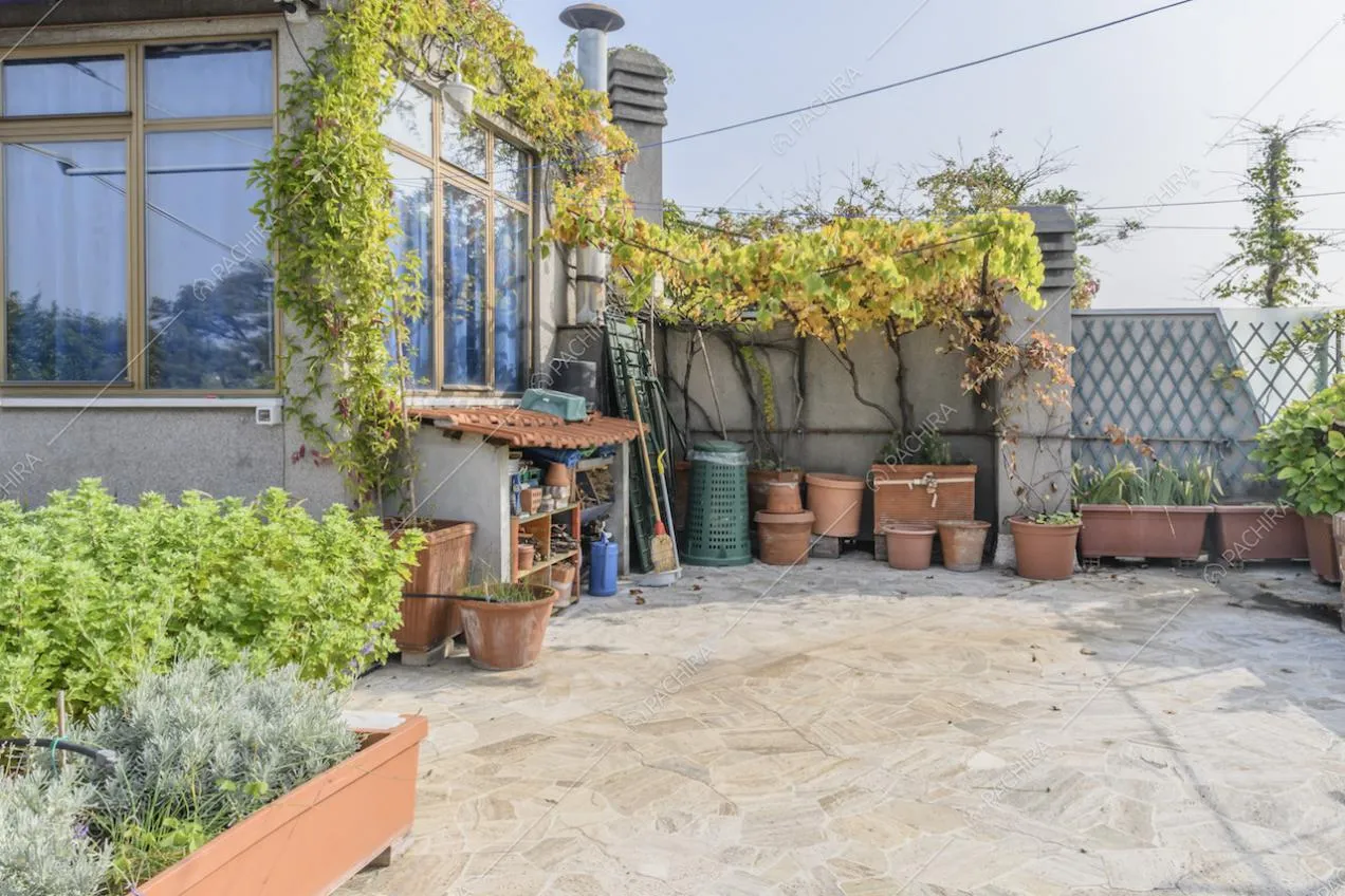 Veranda sulla terrazza con piante rampicanti e vasi in terracotta