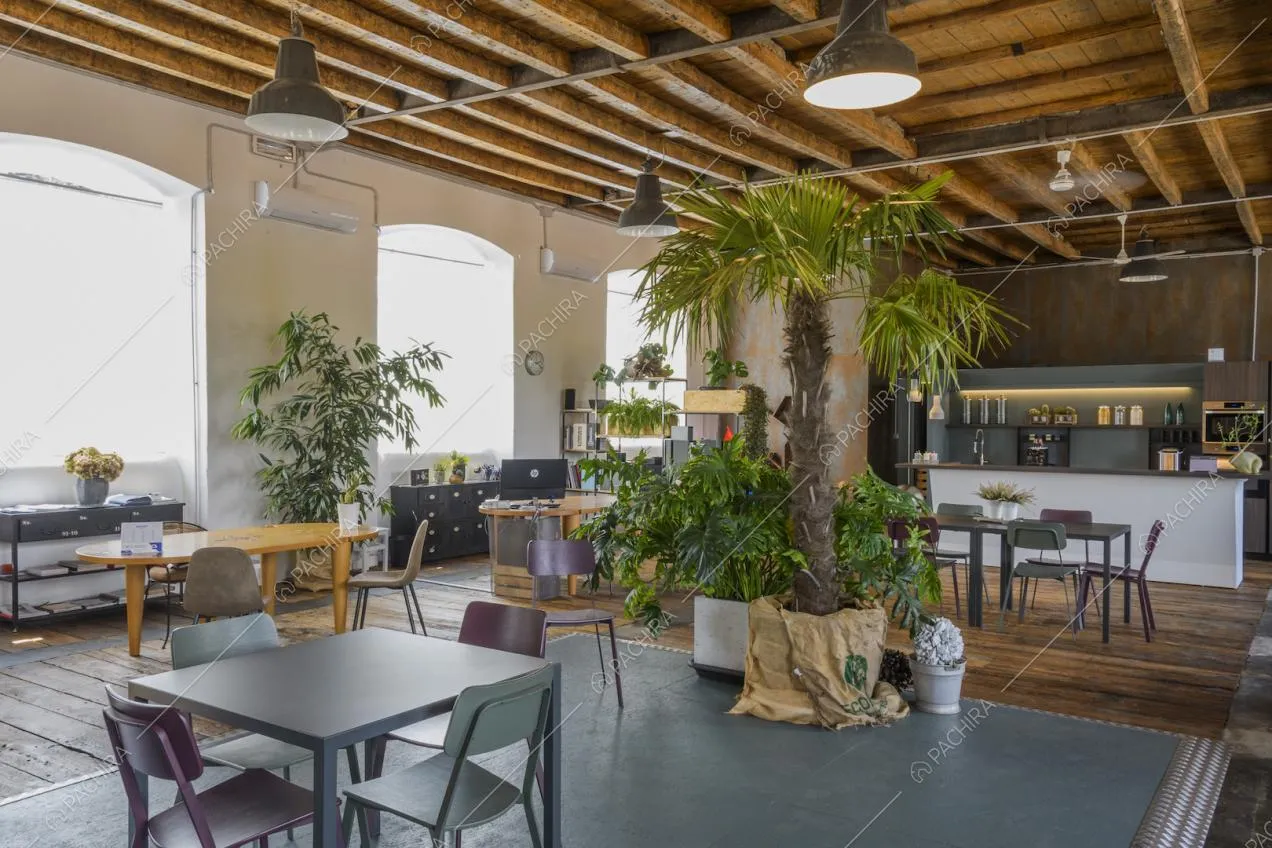 Tavoli in stili diversi e palme all'interno della location
