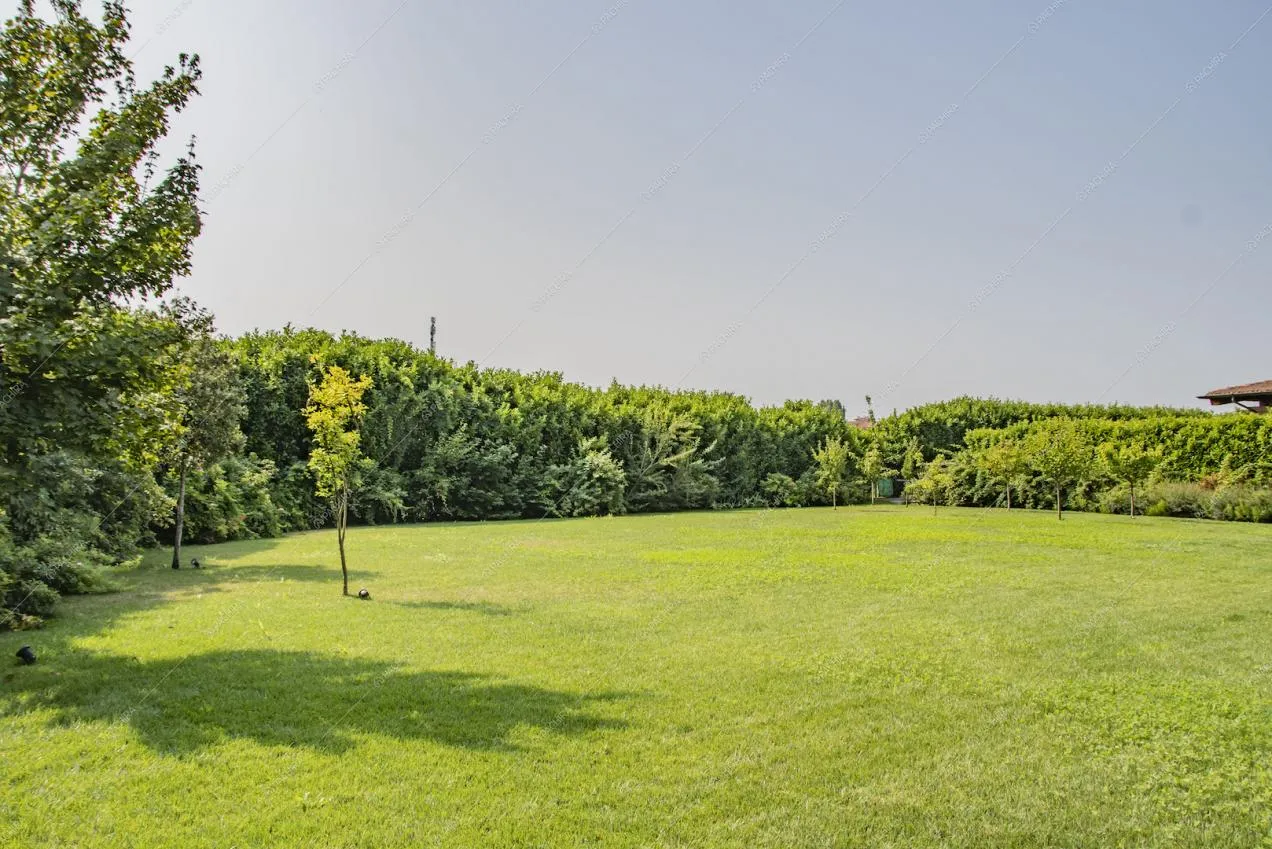 Location Alchemilla villa provincia di Milano 33