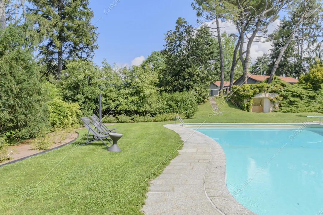 Sedie a sdraio a bordo piscina e vegetazione 