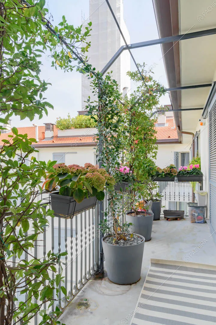 Balcone con piante rampicanti e vista sullo skyline