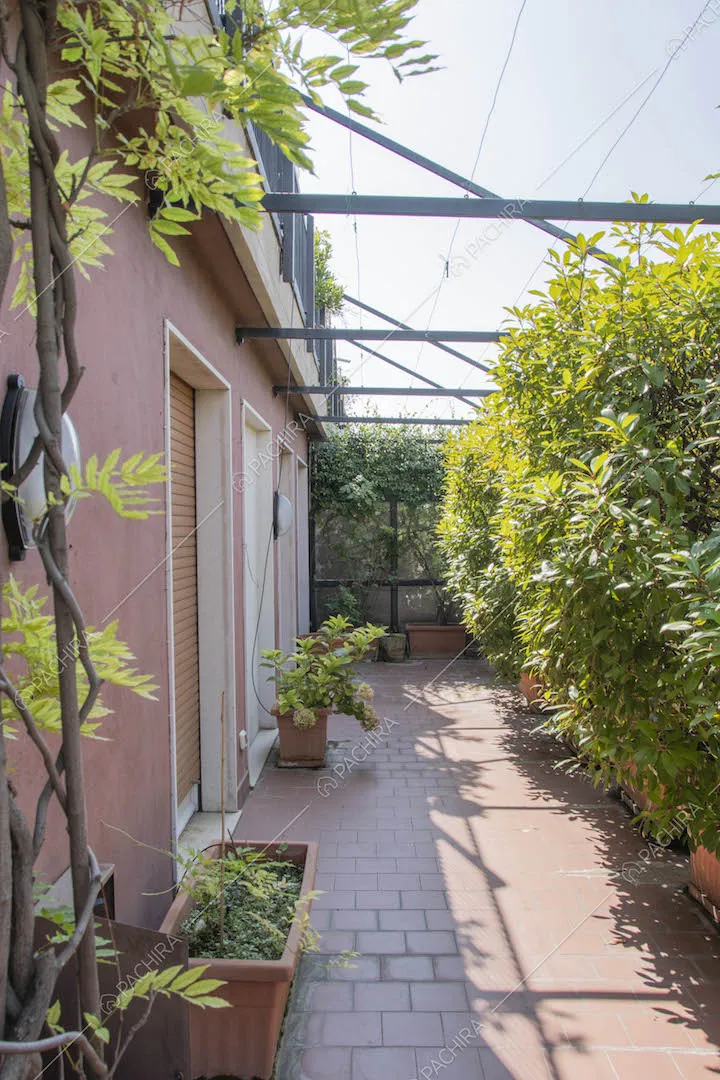 Piante e pavimento in piastrelle rosse sulla terrazza