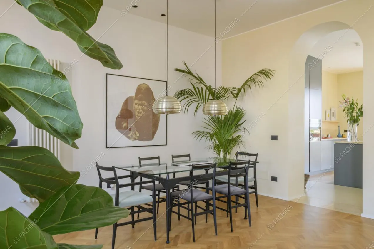 Zona pranzo con tavolo in vetro, sedie e piante da interni