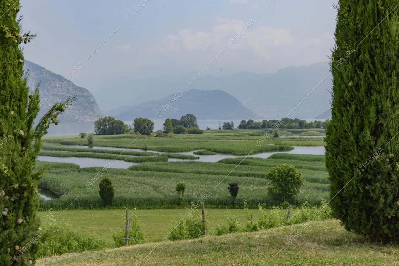 Il verde dell'ampio giardino in cui è immersa la villa