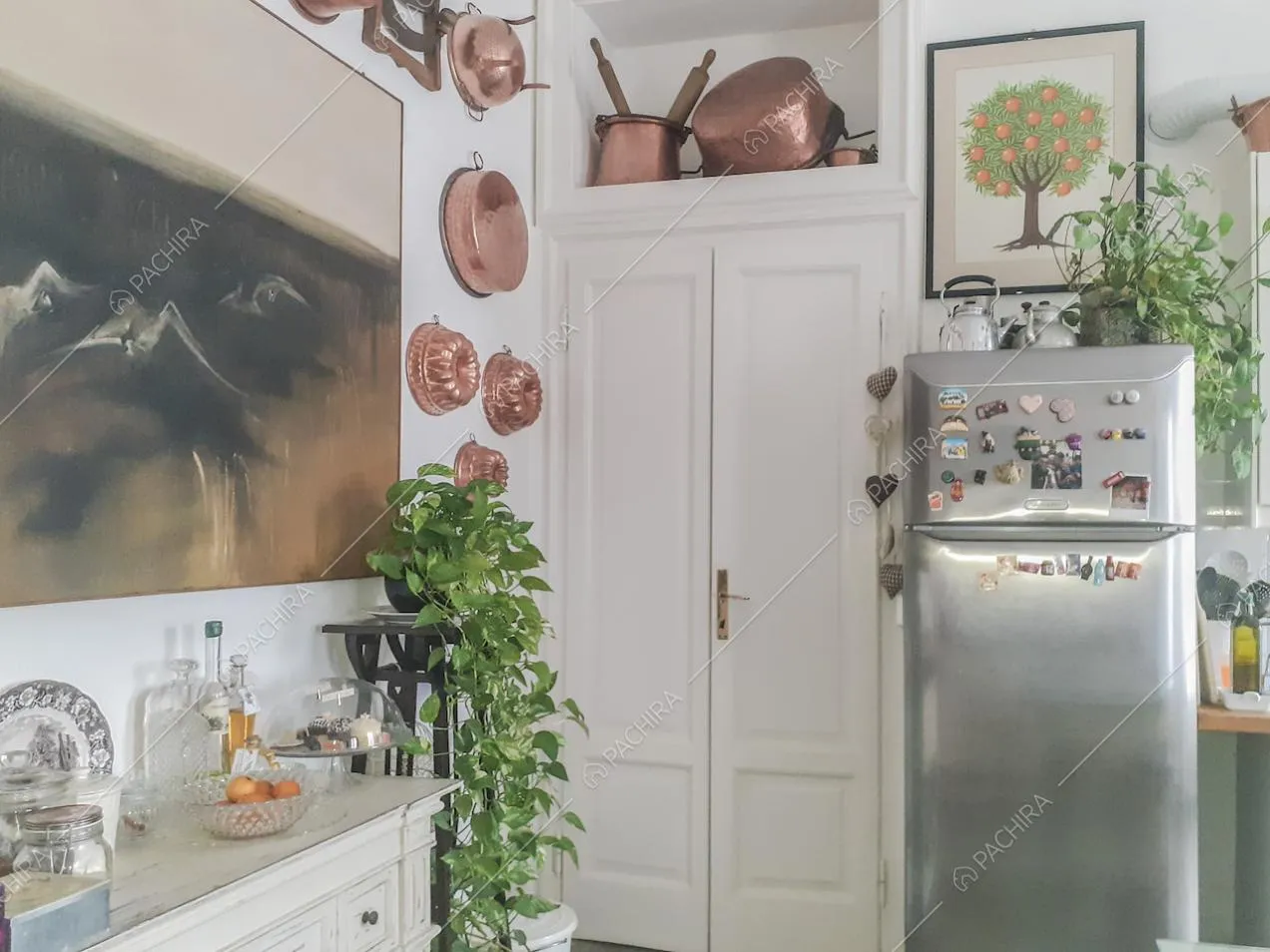 Piante a cascata in cucina, frigorifero e pentole in rame