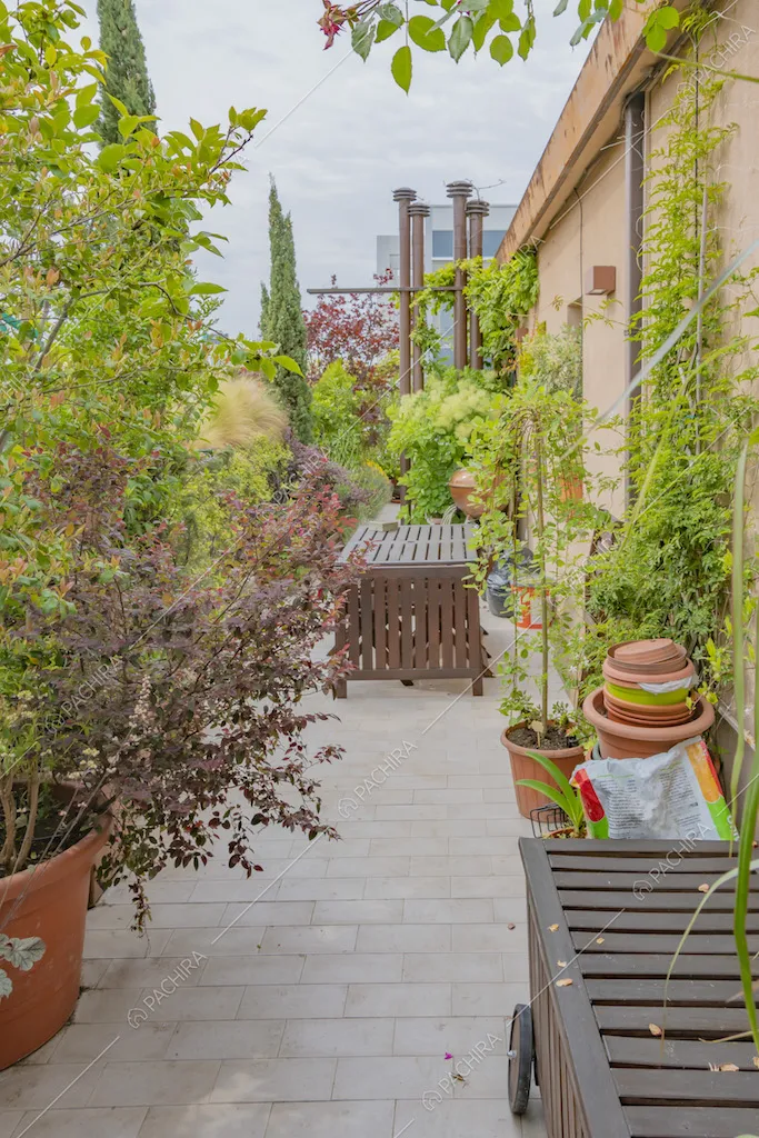 Terrazza con piante e arbusti rigogliosi