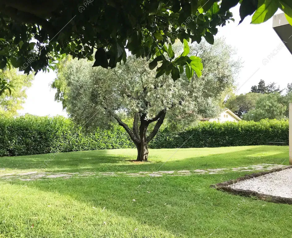 Giardino della villa Giba, location in stile moderno a Latina