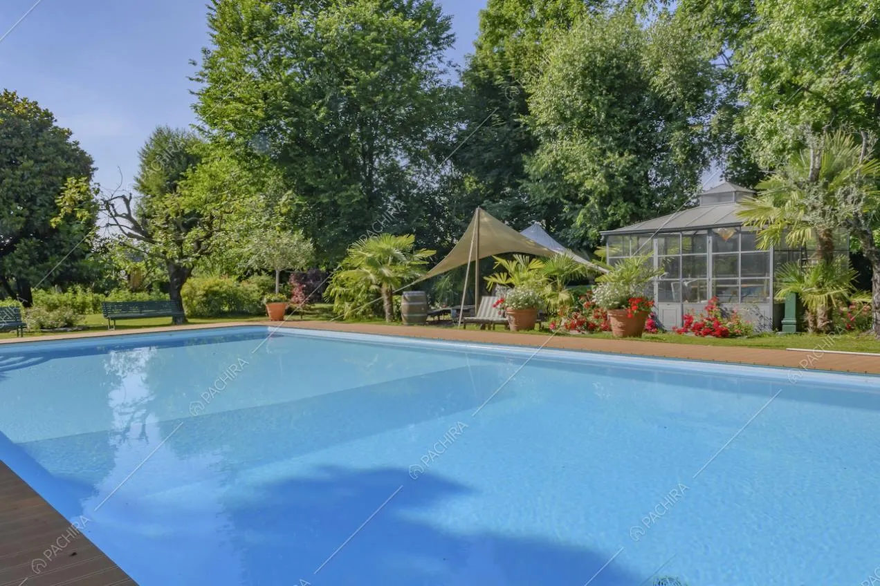 Grande piscina circondata da piante in vaso, alberi e fiori