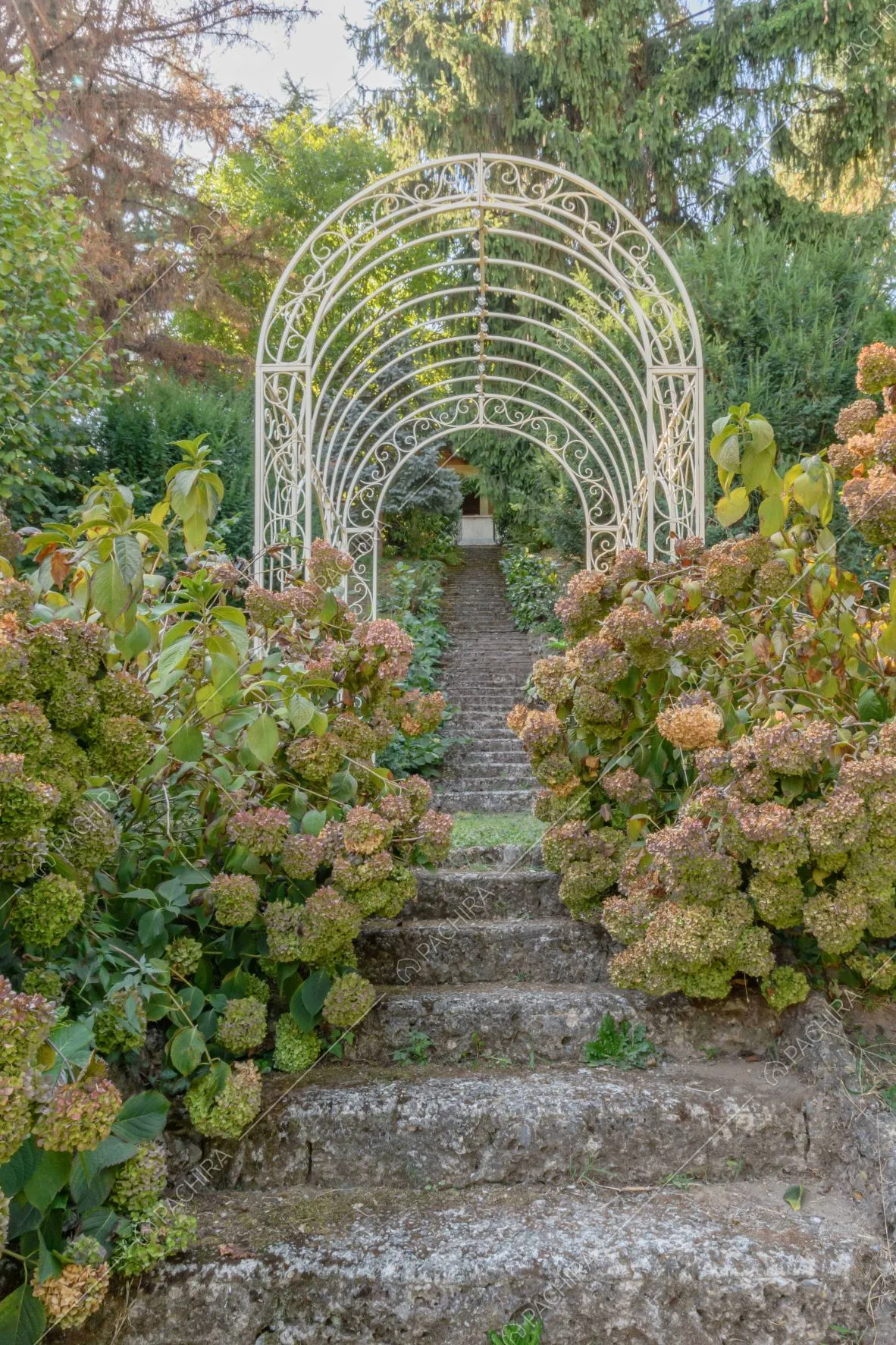 Nell'ampio giardino della location arco in metallo bianco nel vialetto