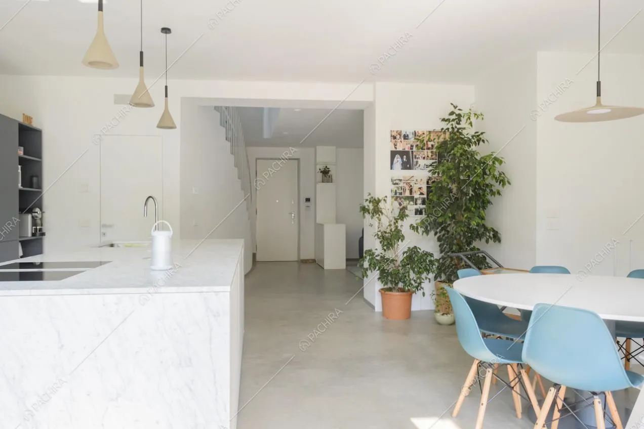 Zona pranzo con cucina a isola, tavolo e piante in vaso