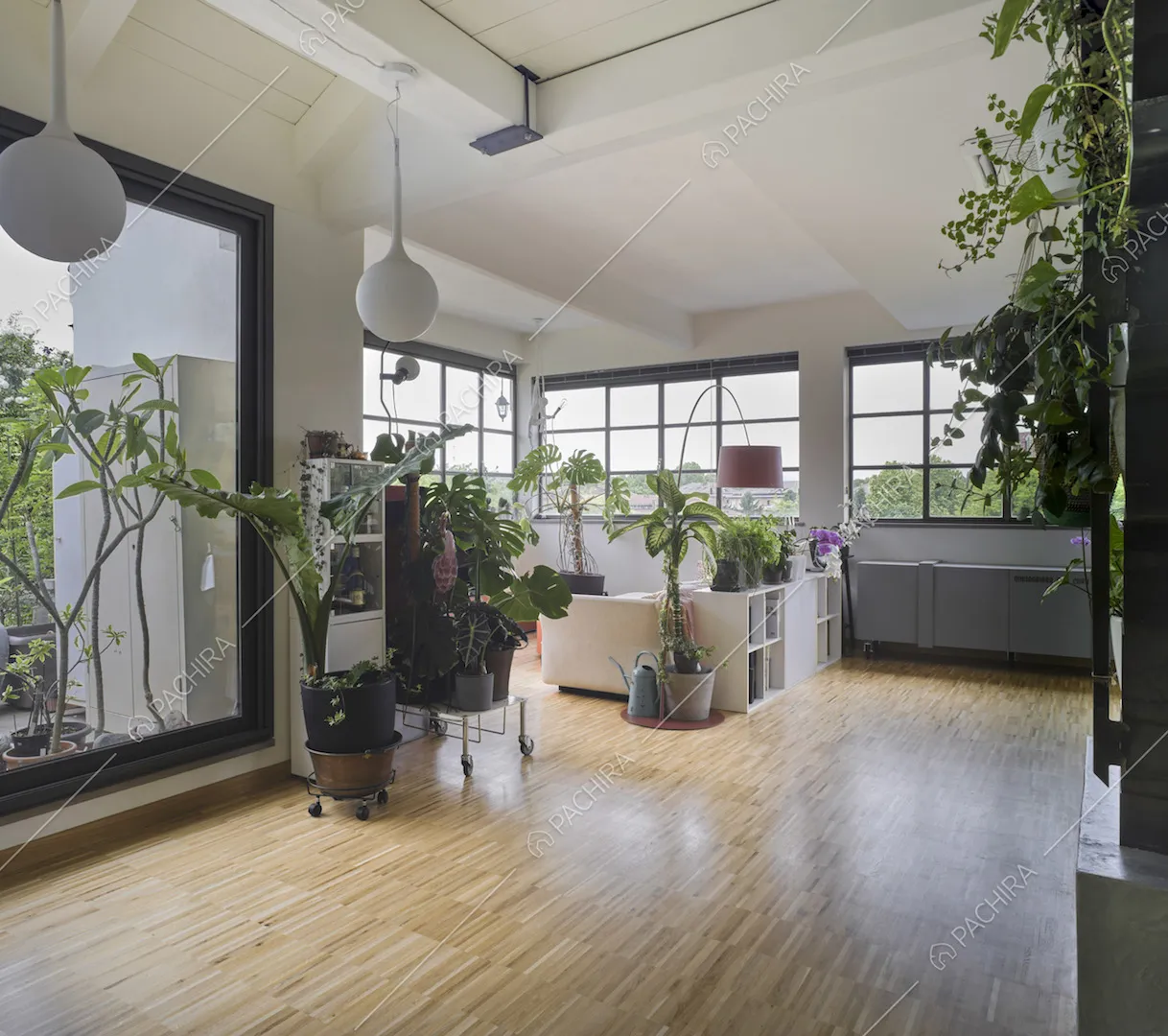 Salotto con pavimento in parquet, piante e finestre industriali