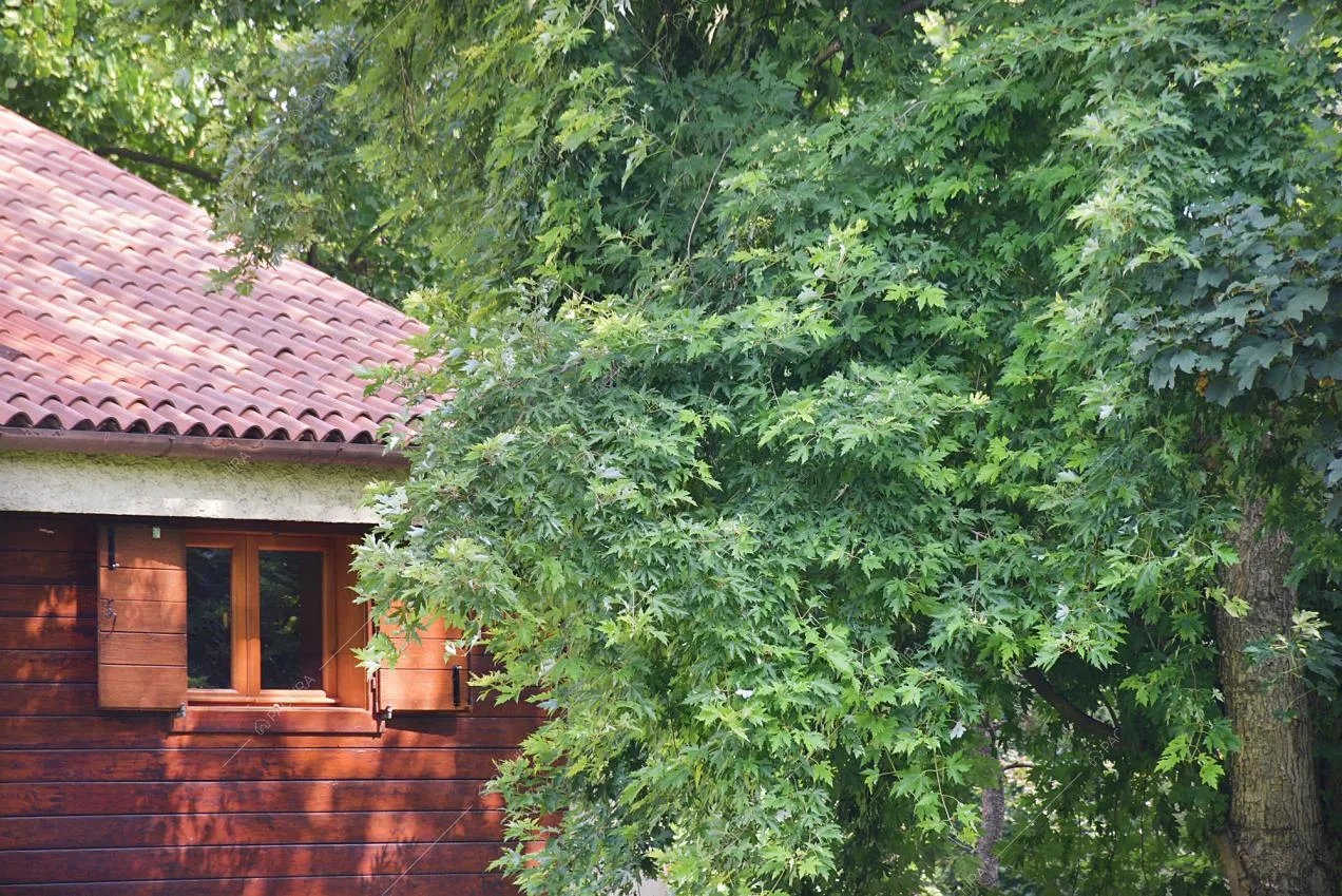 Tetto in tegole e alberi che circondano lo chalet