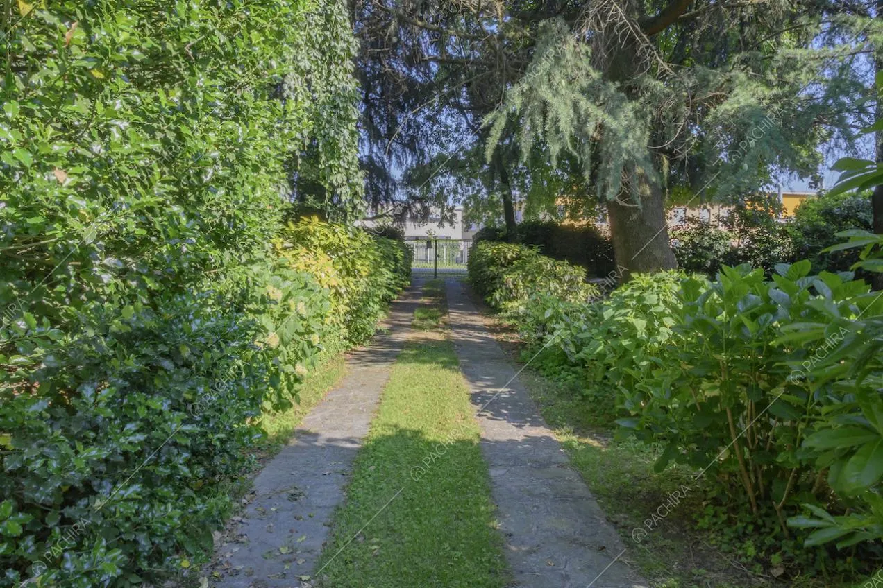 Cancello d'ingresso e viale carrabile