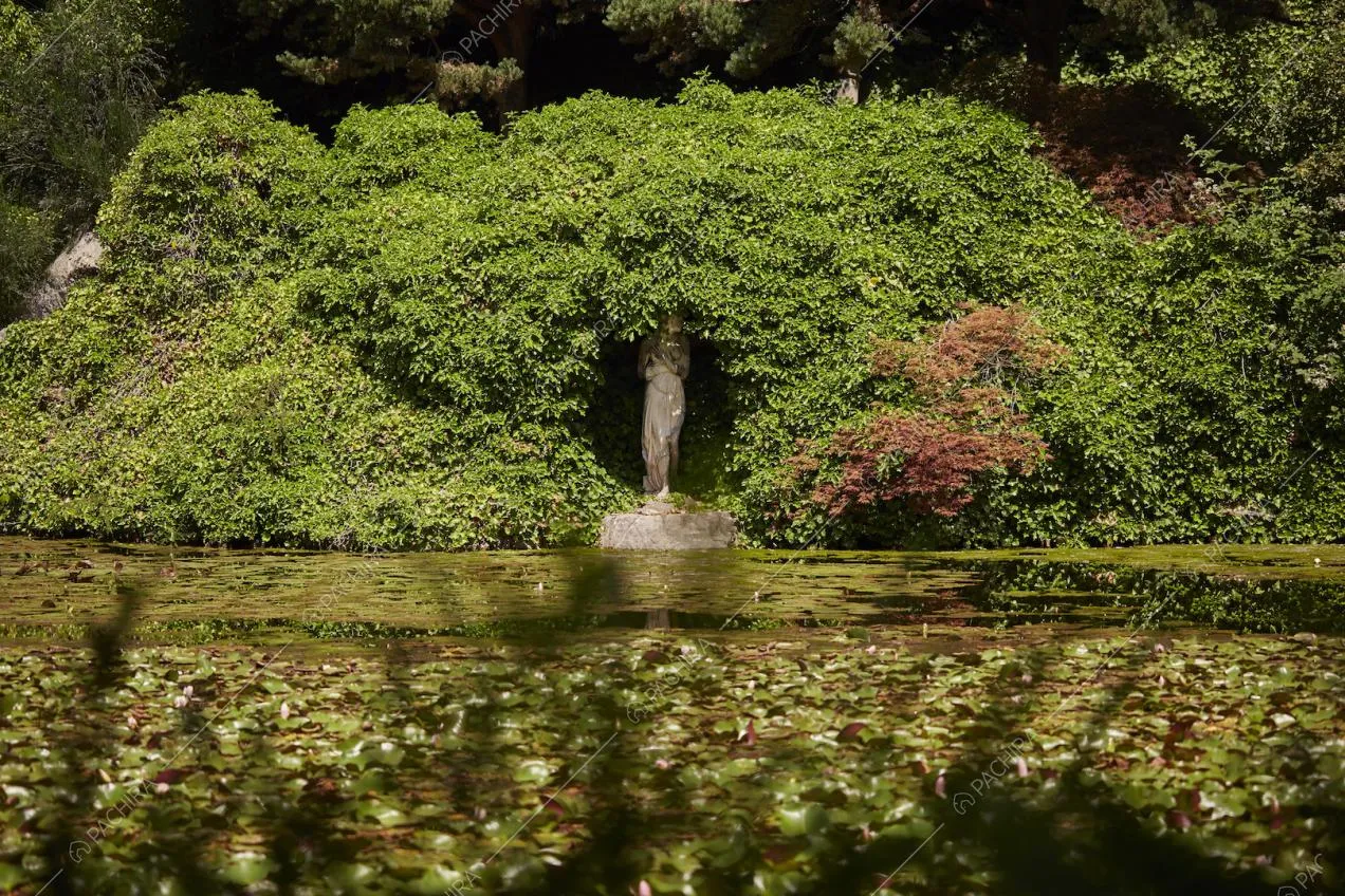 La rigogliosa vegetazione del giardino della location