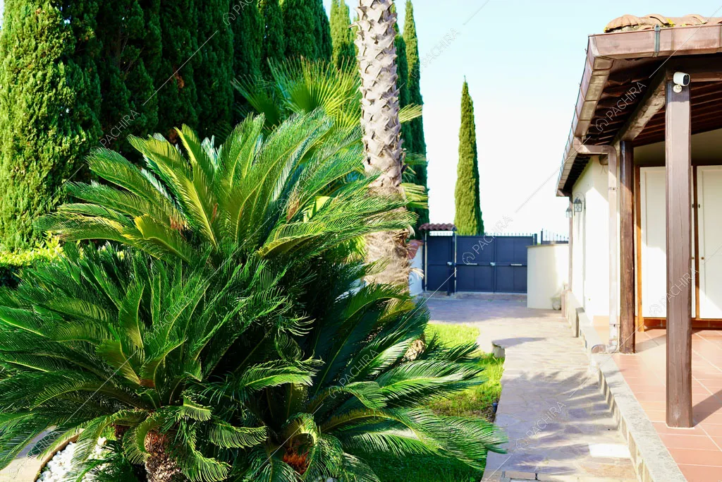 Esterni della villa Altun, location in stile contemporaneo a Roma