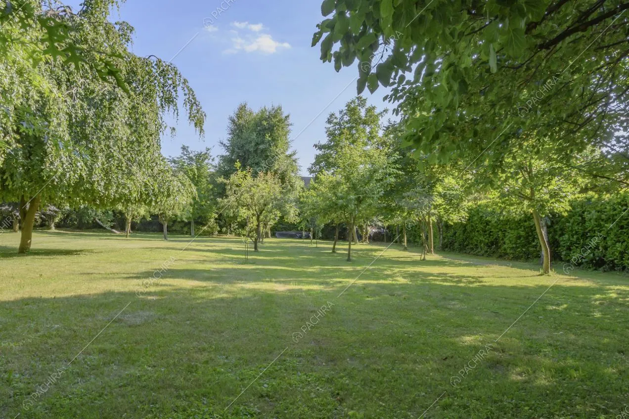Alberi all'interno del parco che circonda la villa