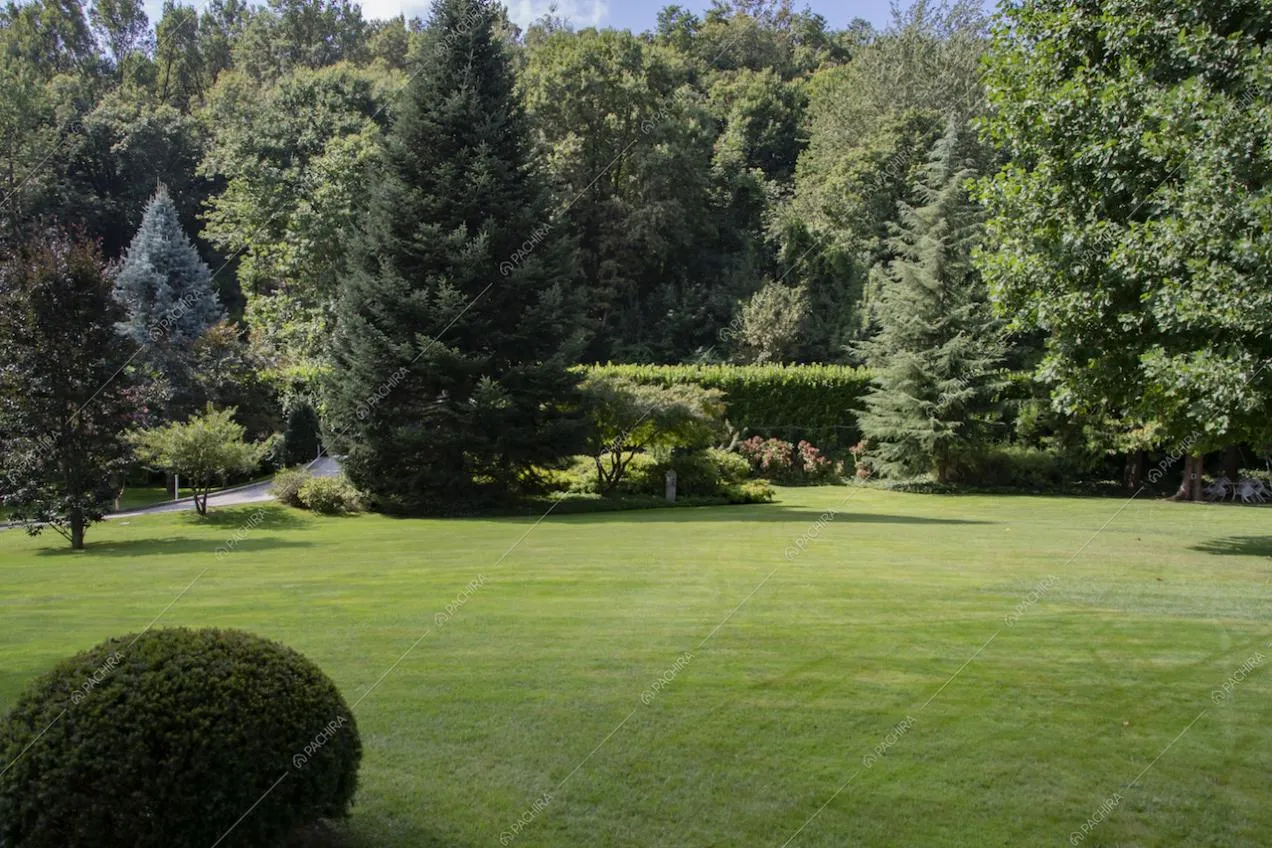 Location Orchidea villa provincia Monza Brianza 31