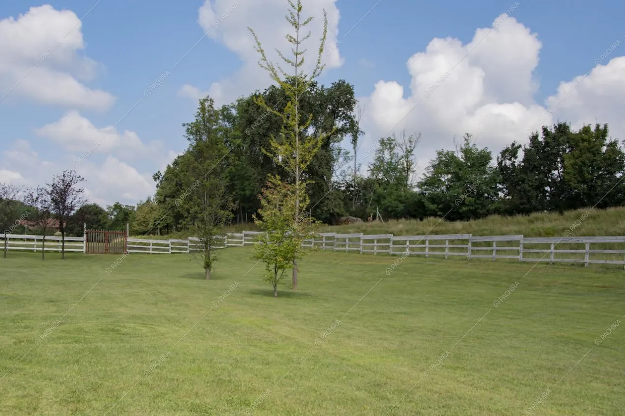 Location Orchidea villa provincia Monza Brianza 19
