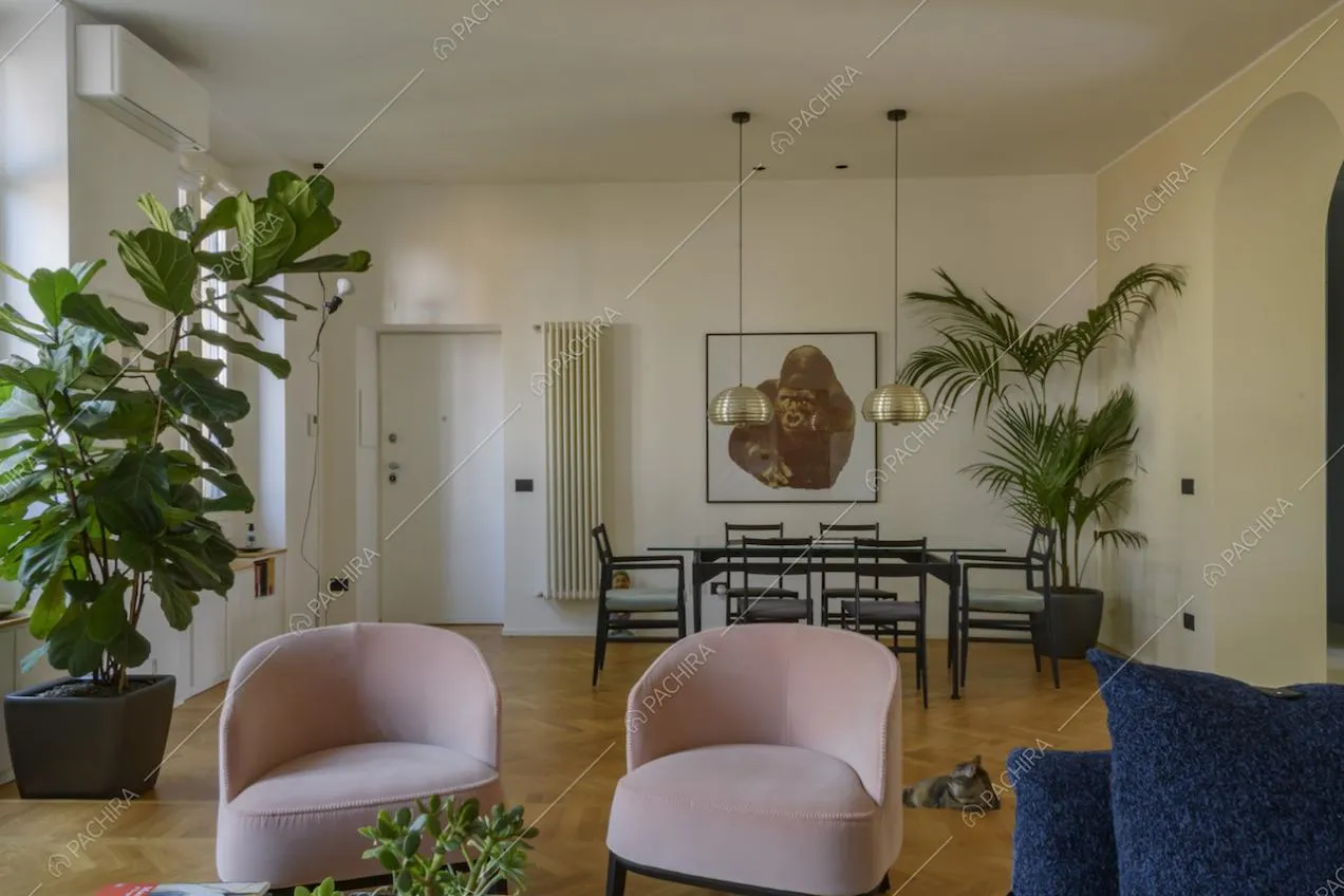 Poltroncine rosa e piante in vaso da interno