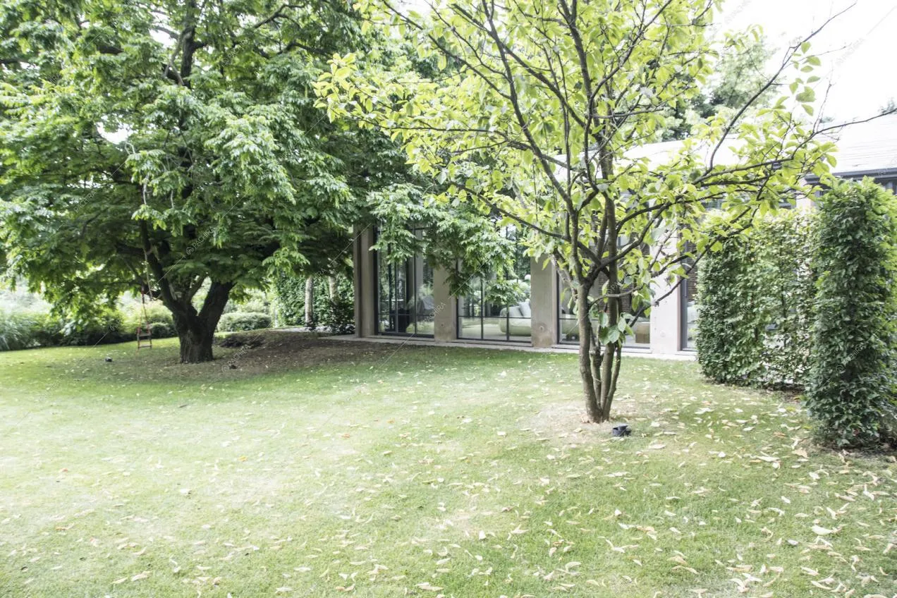 Alberi nel parco che circonda la villa