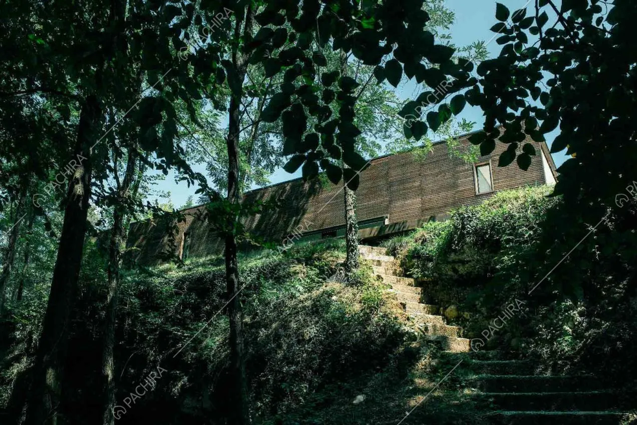 Accesso con scale alla villa dal boschetto