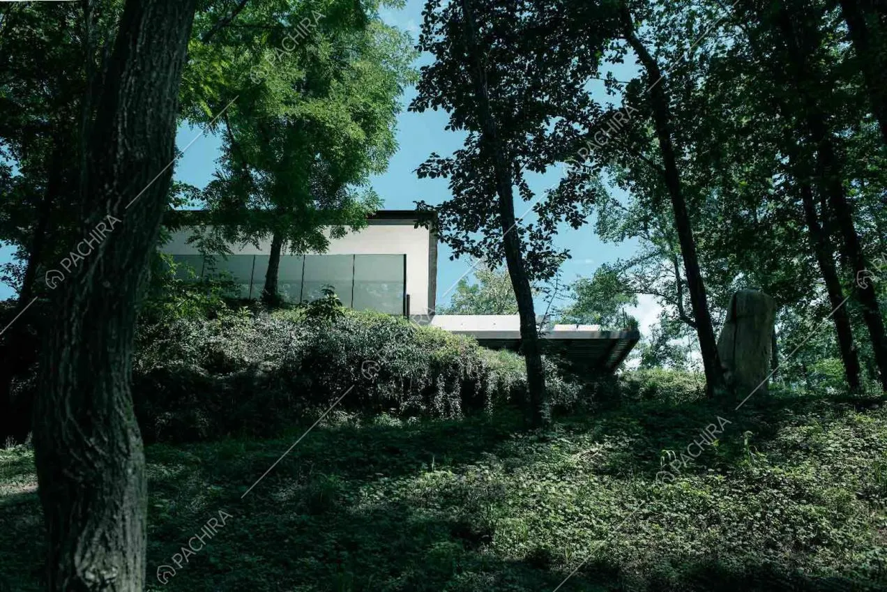Vista della villa dal boschetto