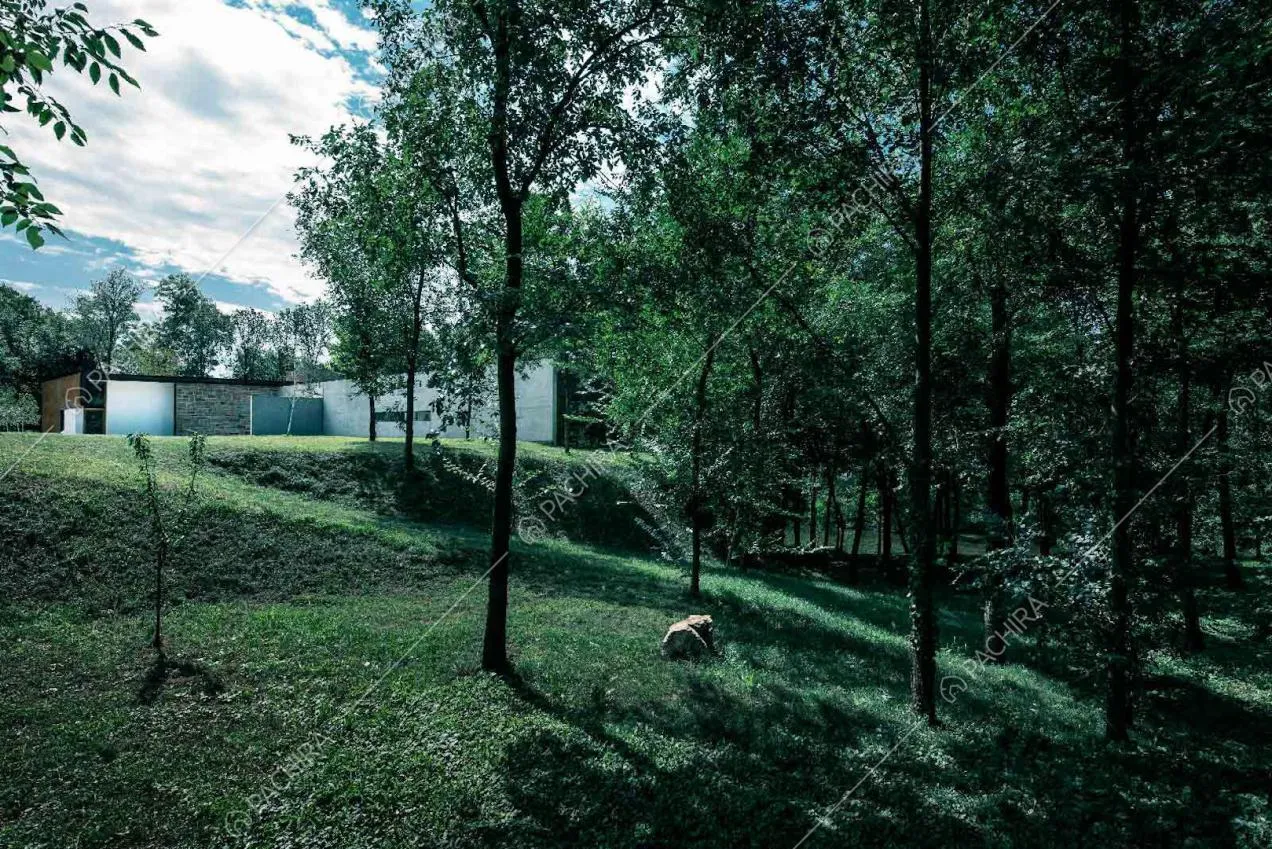 Giardino della villa con alberi