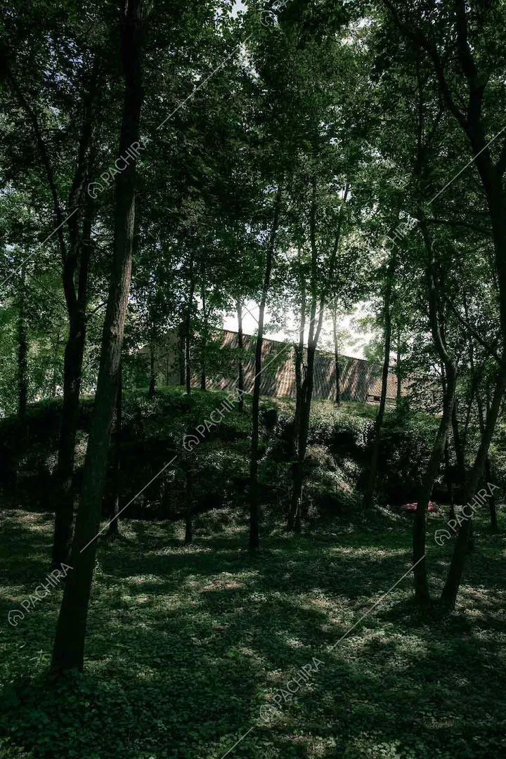 Villa vista dal boschetto