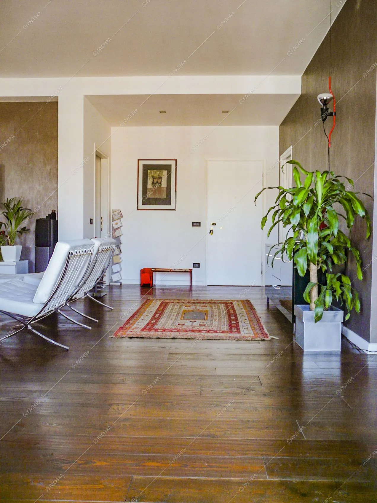 Location Carrubbo appartamento Milano 19