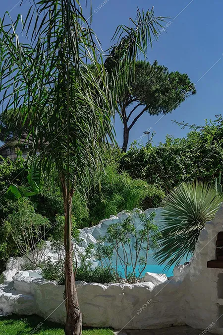 Giardino dell'appartamento Pansy, location moderna per shooting a Roma