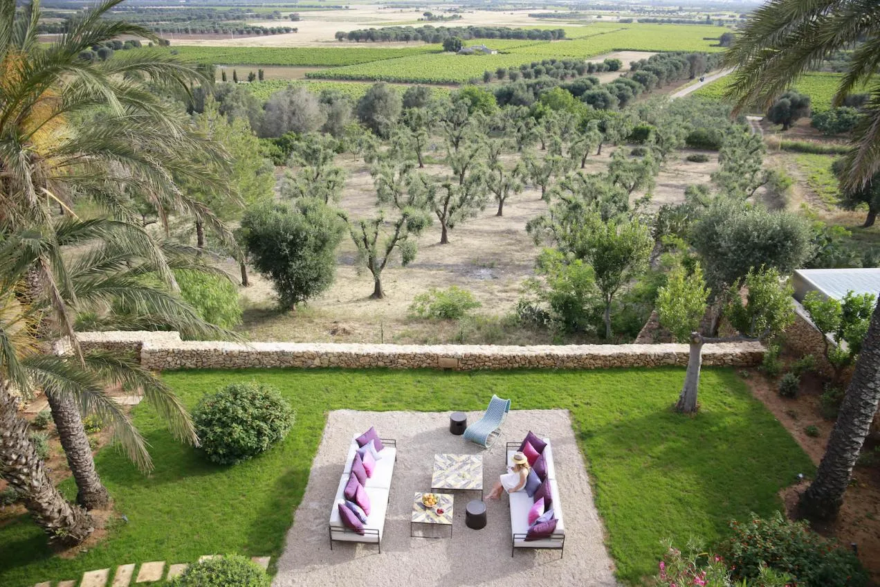 Vista sul giardino della location e sull'uliveto