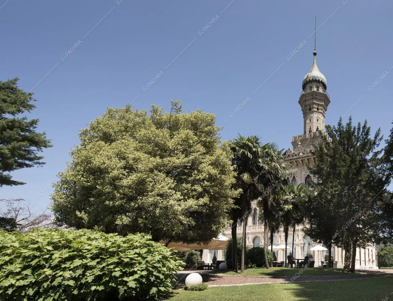 Location Ninfea provincia di Novara 23