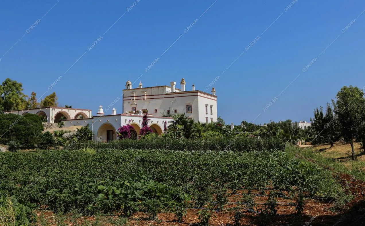 Campi coltivati della villa e vista dall'esterno