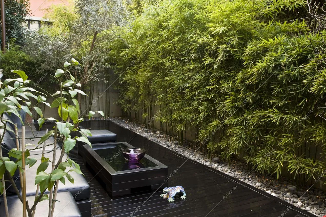 Giardino zen con bambù, tavolini e divanetti neri in pelle