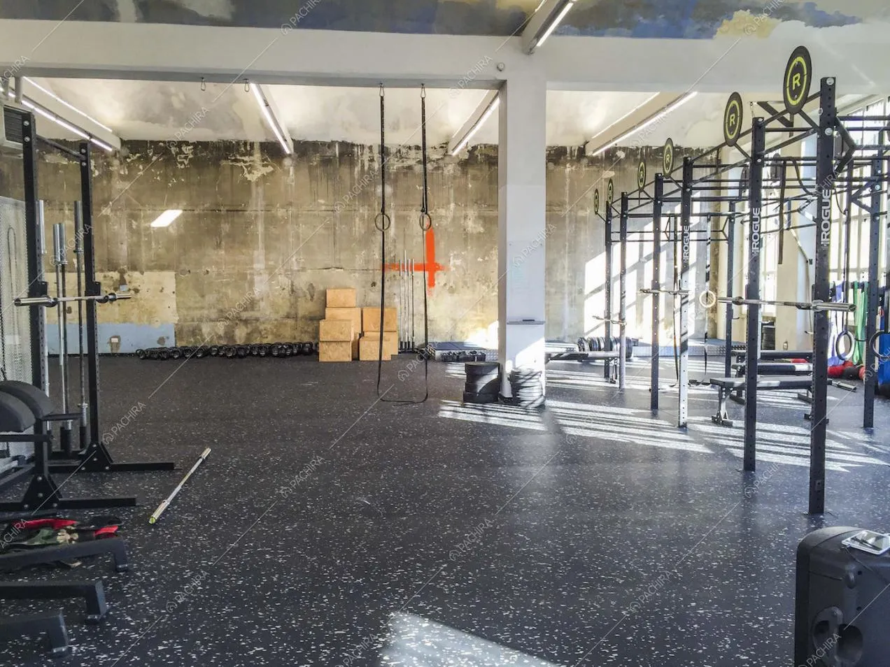 Spazio ampio con struttura da crossfit e attrezzi per pesi