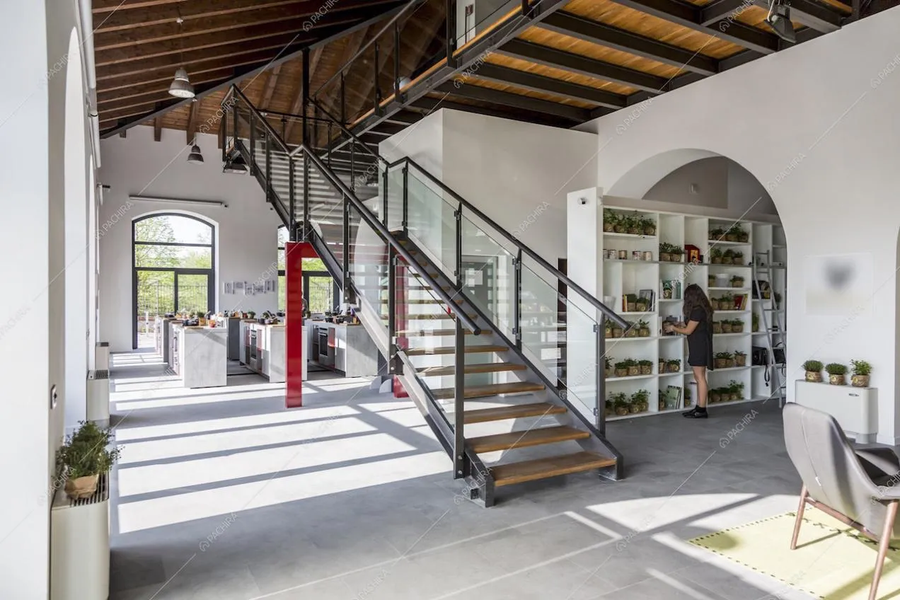 Scale e libreria con piante