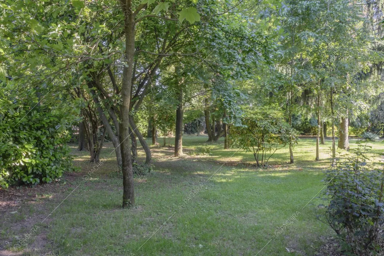 Fitta vegetazione nell'ampio parco della villa