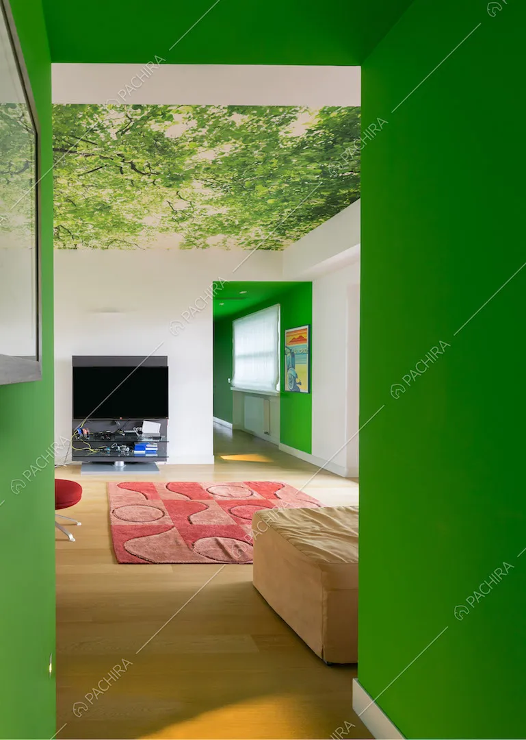 Pareti verdi del corridoio che conducono alla sala con pavimento in parquet