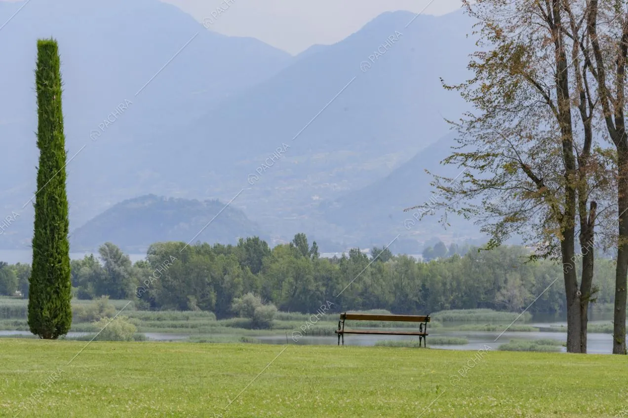 Bosco tra le montagne e prato verde con panchina