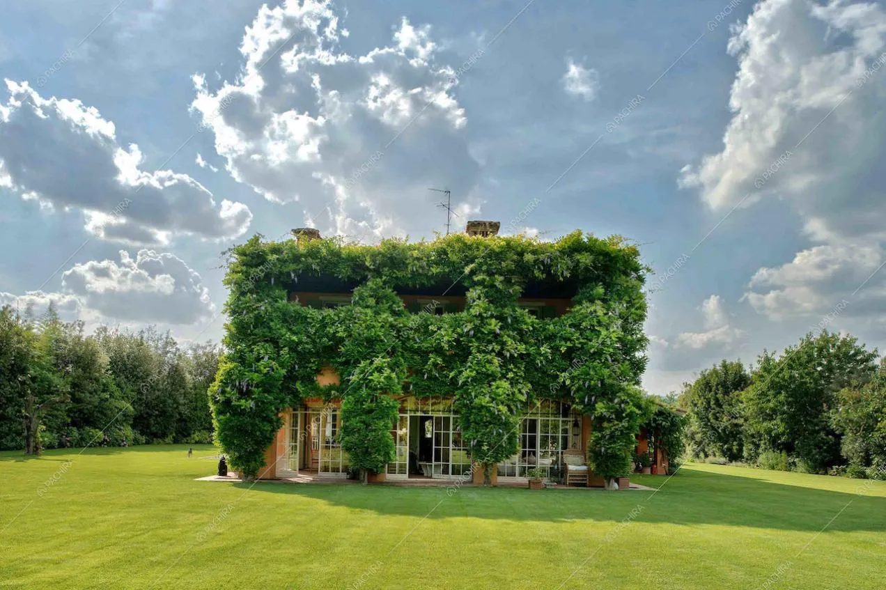 Esterno della villa ricoperta di glicine non fiorito