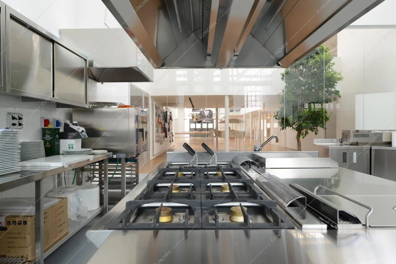 Fornelli a gas nella cucina e vetrate con vista sull'ambiente principale