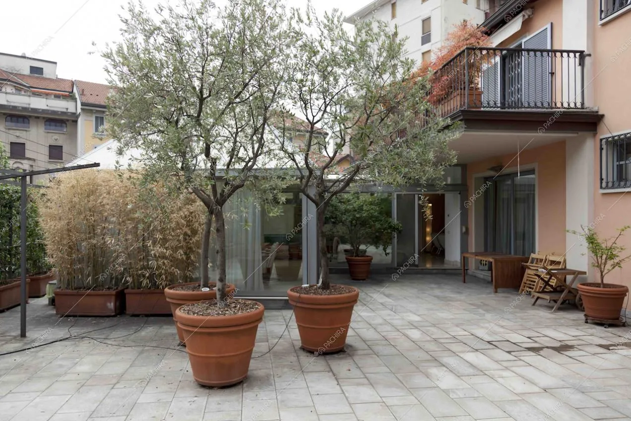 Terrazza con piante a Milano