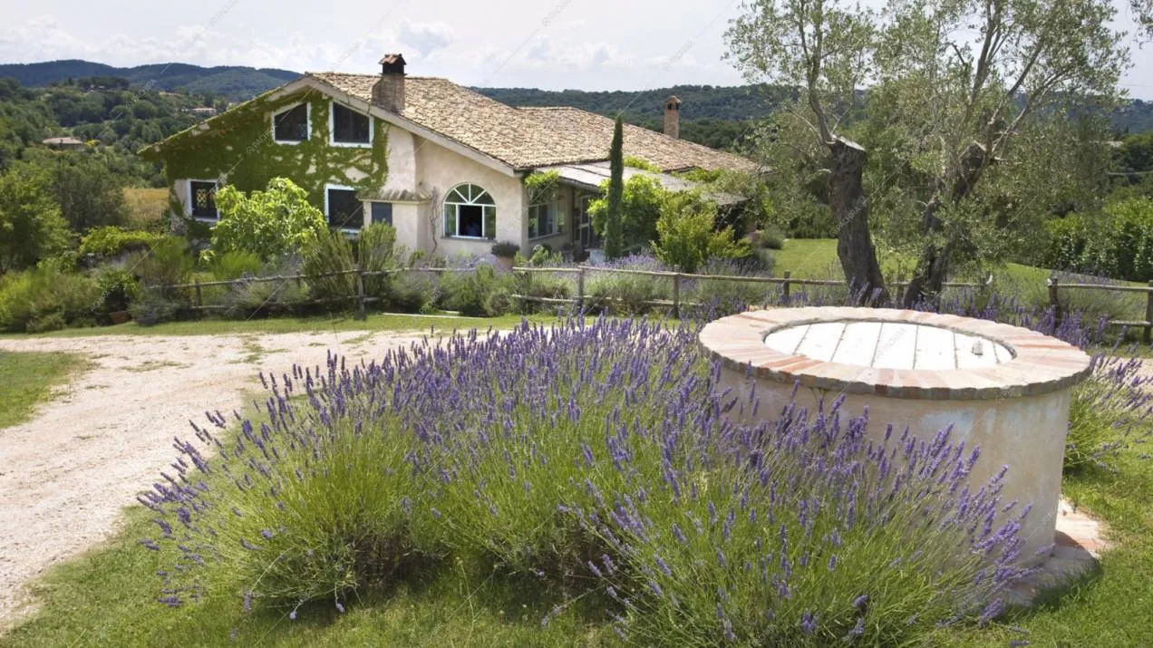 Pozzo circondato da piante di lavanda e vista sulla villa con parte della facciata ricoperta da rampicanti e con veranda